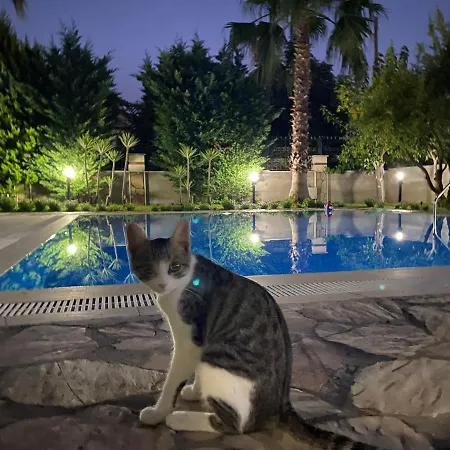 וילה Villa Tekirova